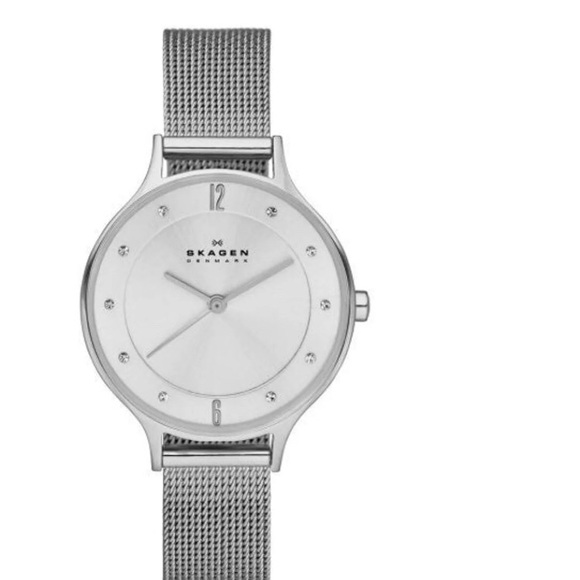 Womens Skagen Silver Anita Crystal Index Watch - Picture 1 of 5